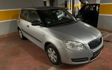 Skoda Fabia 1.2 Petrol Or Similar